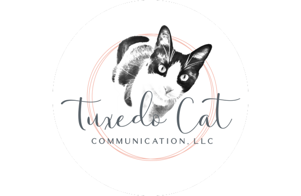 Tuxedo Cat Comms